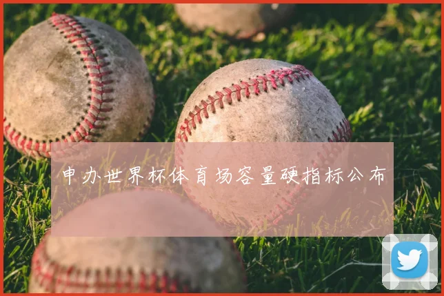 申办世界杯体育场容量硬指标公布