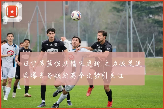 辽宁男篮伤病情况更新 主力恢复进度曝光备战新赛季走势引关注