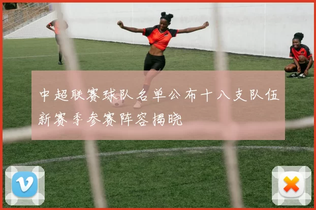 中超联赛球队名单公布十八支队伍新赛季参赛阵容揭晓