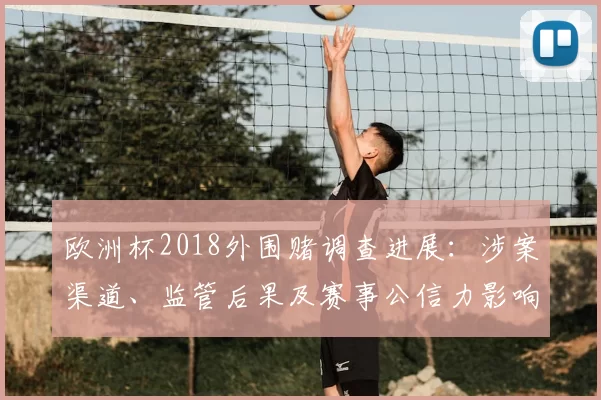 欧洲杯2018外围赌调查进展：涉案渠道、监管后果及赛事公信力影响